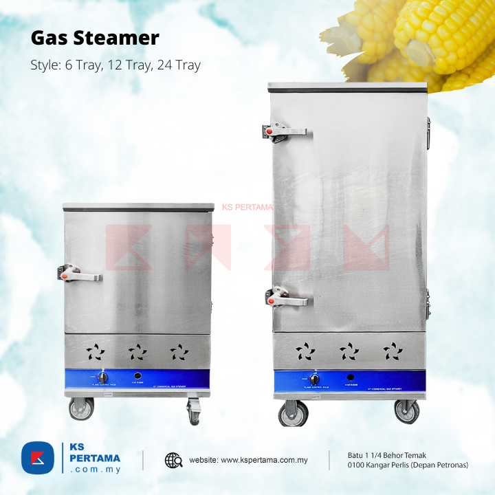 Stainless Steel Gas Steamer